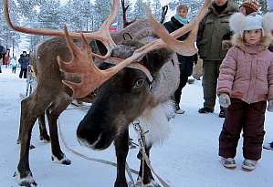 New Year Holidays at «The Arctic Circle»